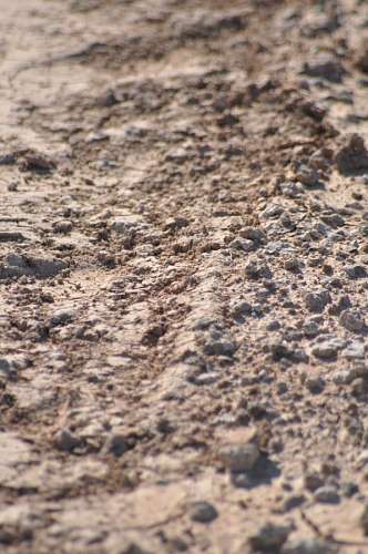 Texture, Textures, earth, dry, brittle, cracked, A