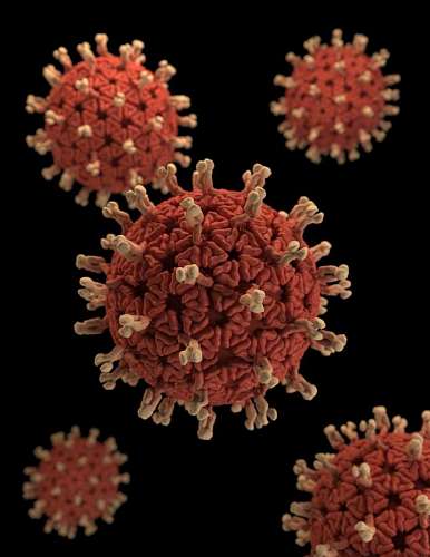microscope illustration of various viral agents