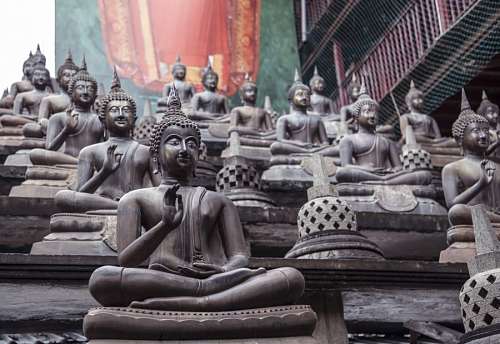 buddha buddha