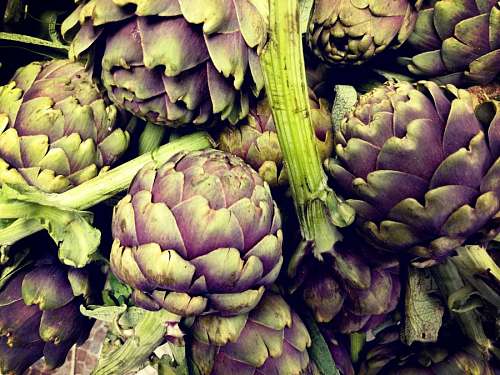 Artichoke