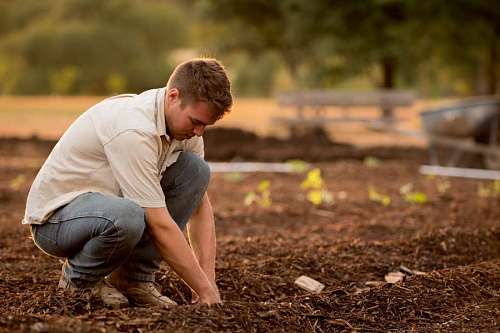 farmer-hand Close-up of gardener planting seeds