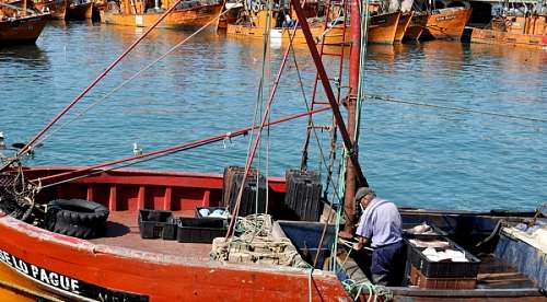 a person, man, mar del plata, boat, fishing, boats