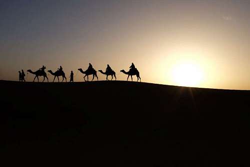 nhs People riding Camel Touring 