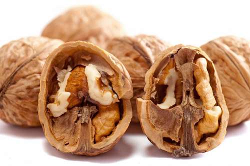 close-up of walnuts one next each other on a white studio background
