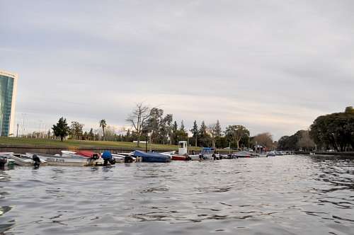 tigre-city 