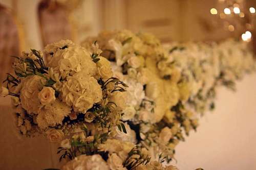 White flowers decoration
