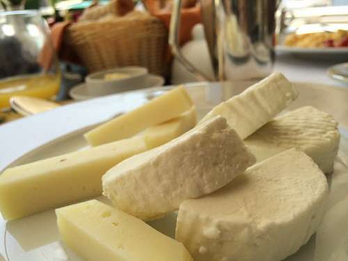 dairy-cow-breeds Mozzarella cheese