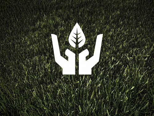 sustainability Ecology and Environment