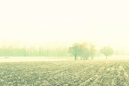 vintage, field, rural scene, scenery, background, 