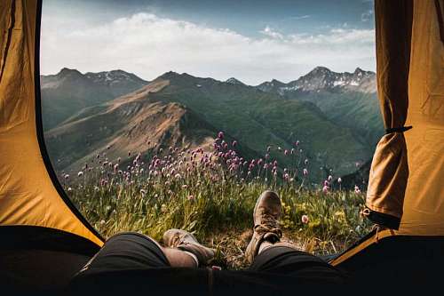 camping-gear Man looking at landscape with flowers from his tent