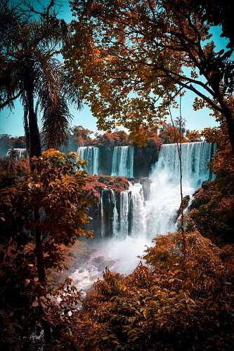 spectacular Iguazu Falls in Misiones, Argentina