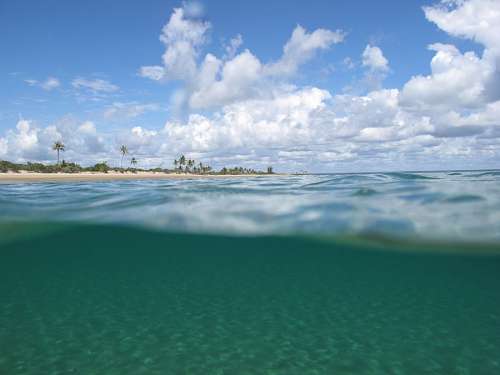 seabed caribbean