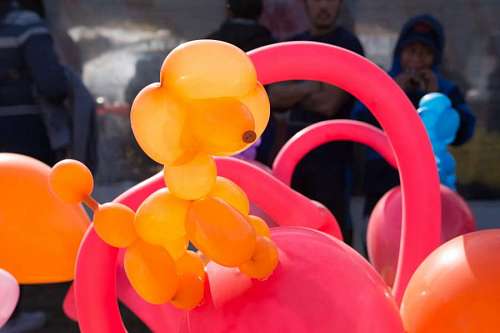 occasion Dog figure made with balloons in an amusement park