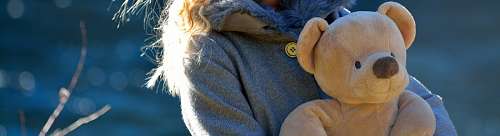 teddy-bear 