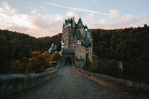 palace entrance to an old medieval castle in the middle of the forest