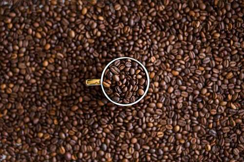 Coffee Beans