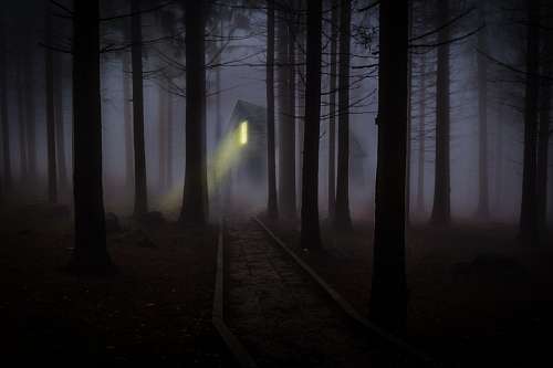 Mysterious house in the forest
