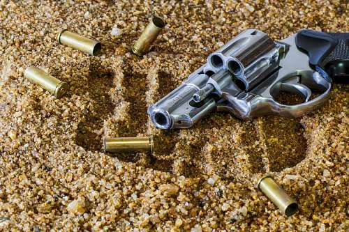 Gun