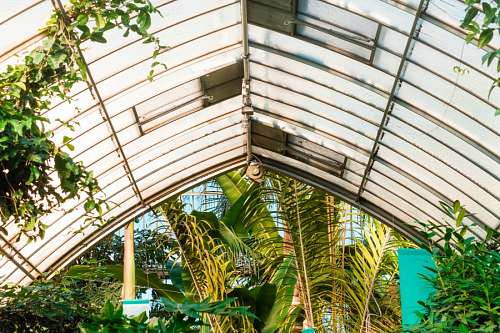 samuel-biblical-figure Greenhouse