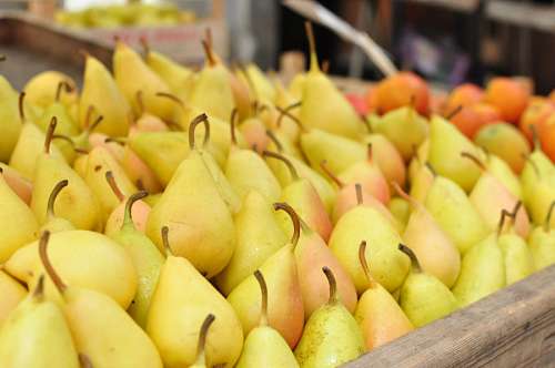 greengrocer trade, sale, greengrocer, pear, pears, fruit, frui