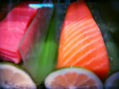 salmon 