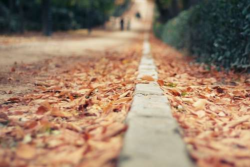 retiro 