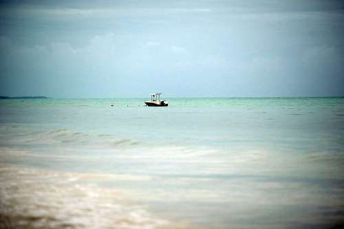 seaside Sight of the seascape with a boat.