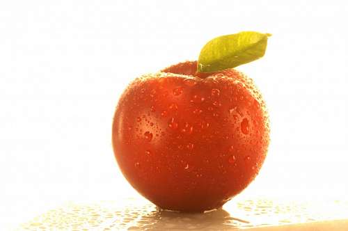 Plum on white background