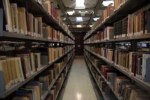shelf library