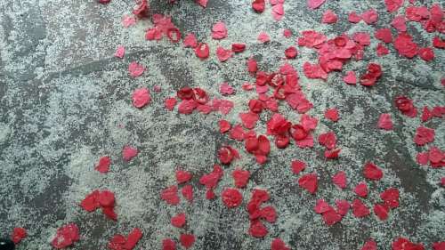 civil-engineering Marriage, Petal, Rose, Rice, Celebration, Civil, E