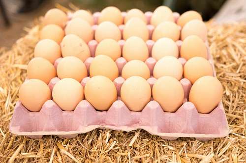 Farm fresh red eggs