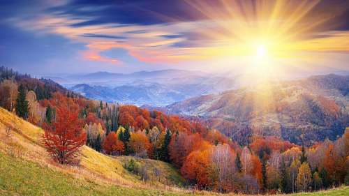 Autumn landscape