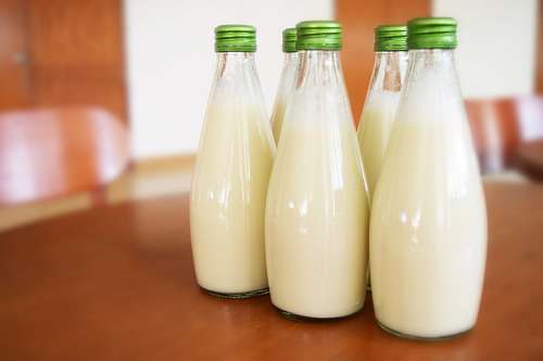 dairy-cow-breeds Milk bottles