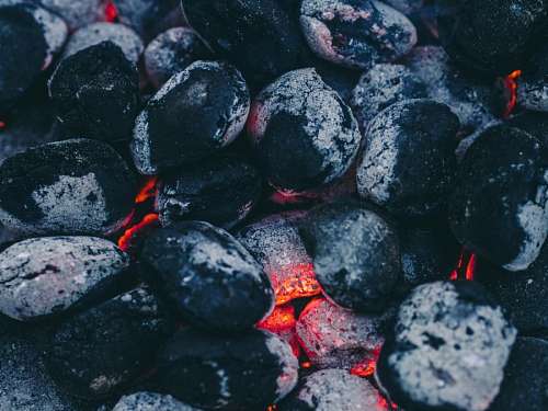 charcoal coal