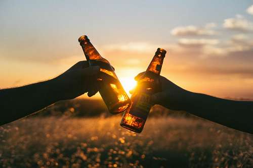 persons-with-disabilities toast