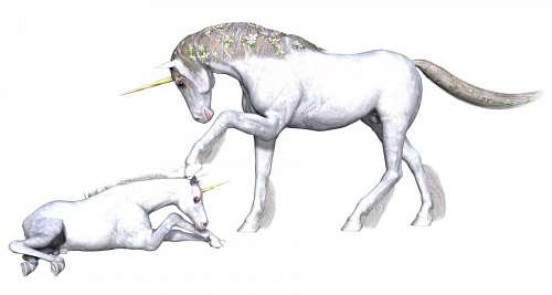 Unicorn female with her young