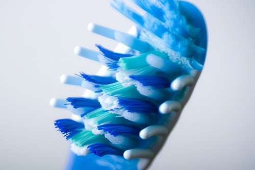 dental 