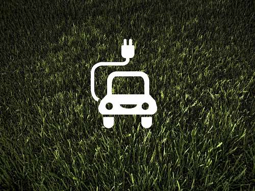 sustainability Ecology and Environment