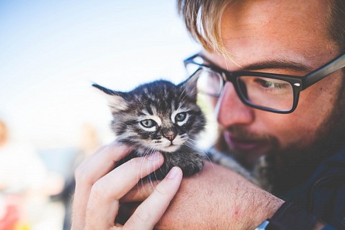 Man taking in his hands tender kitten