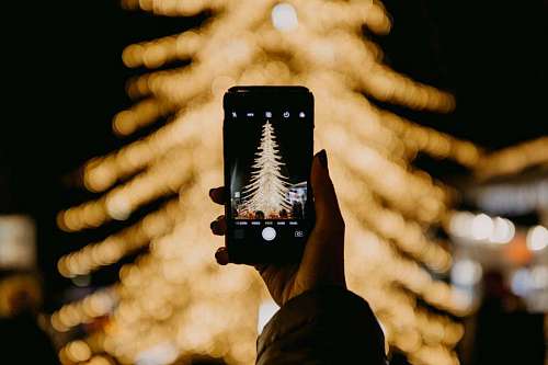 christmastime Christmas Tree at Night, Phone taking photo