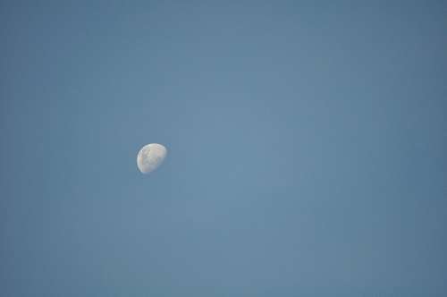 freejpg Moon