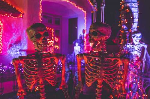 Skeletons on Halloween