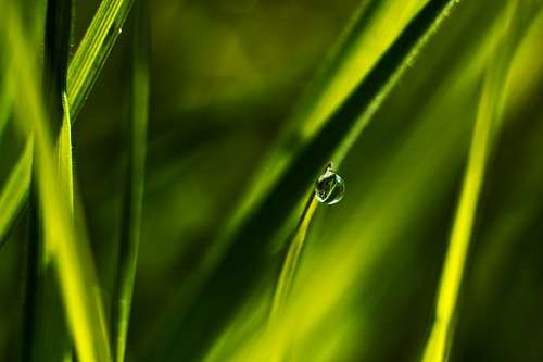 split Water drop