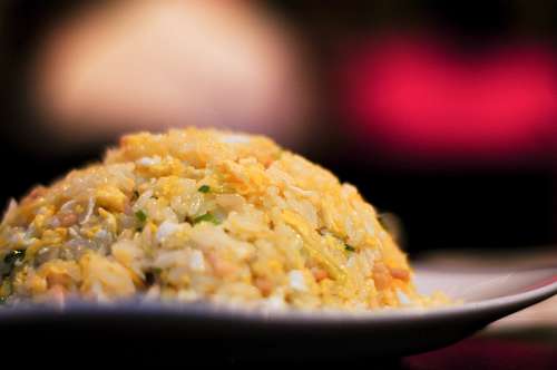 chow-chow-dog Rice