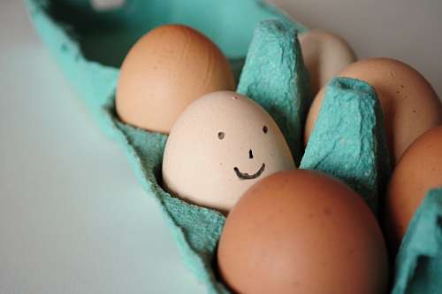 joy, happiness, face, smile, egg, eggs, concept, f