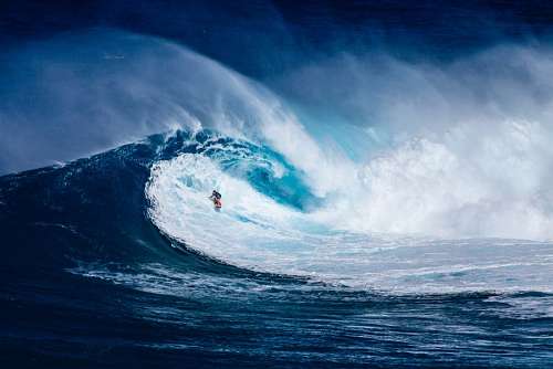 risk Surf