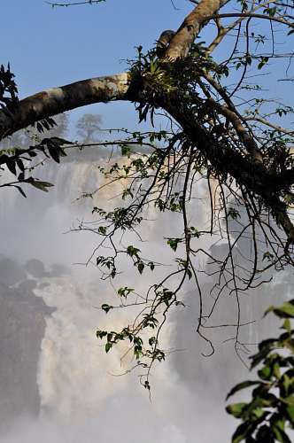 Iguazu Falls