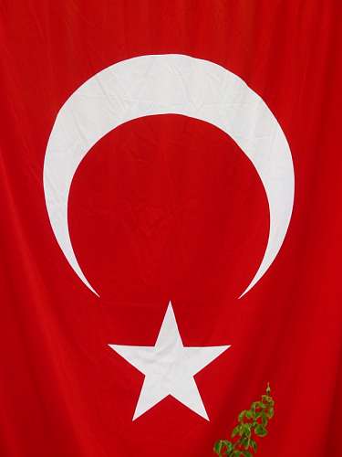 country Turkey Flag