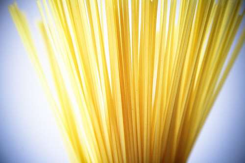 noodle-dish Noodles
