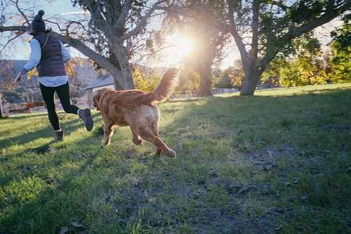 Woman running with her dog